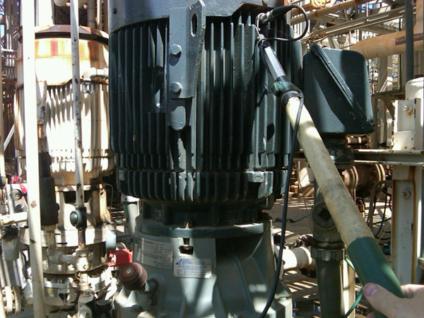Vertical Electric Motor and Pump